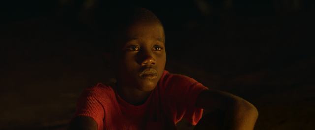 PARADISE | Jeremy Comte