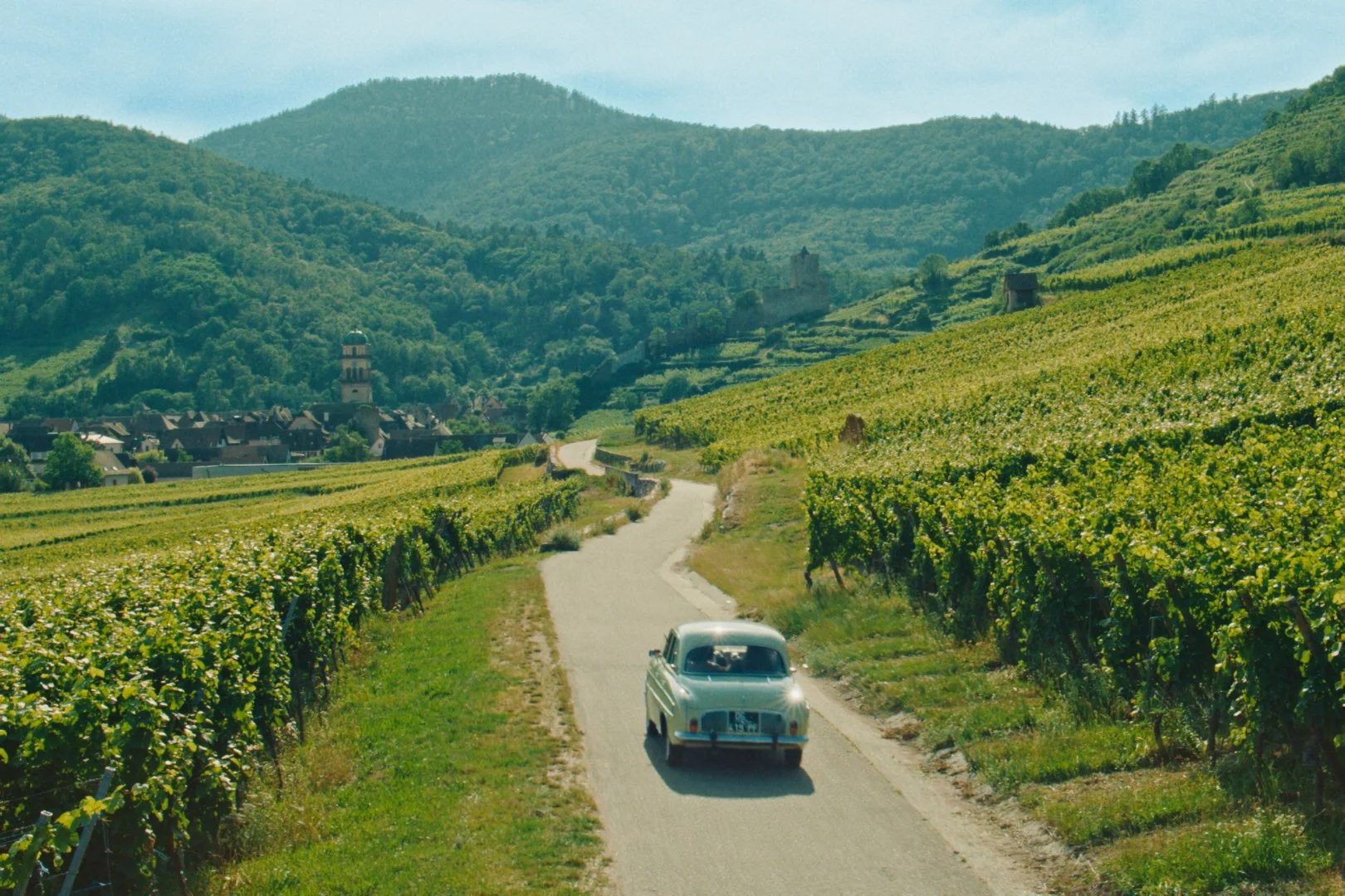 Still 2025-10-22 183232_1.156.1 copy.jpg