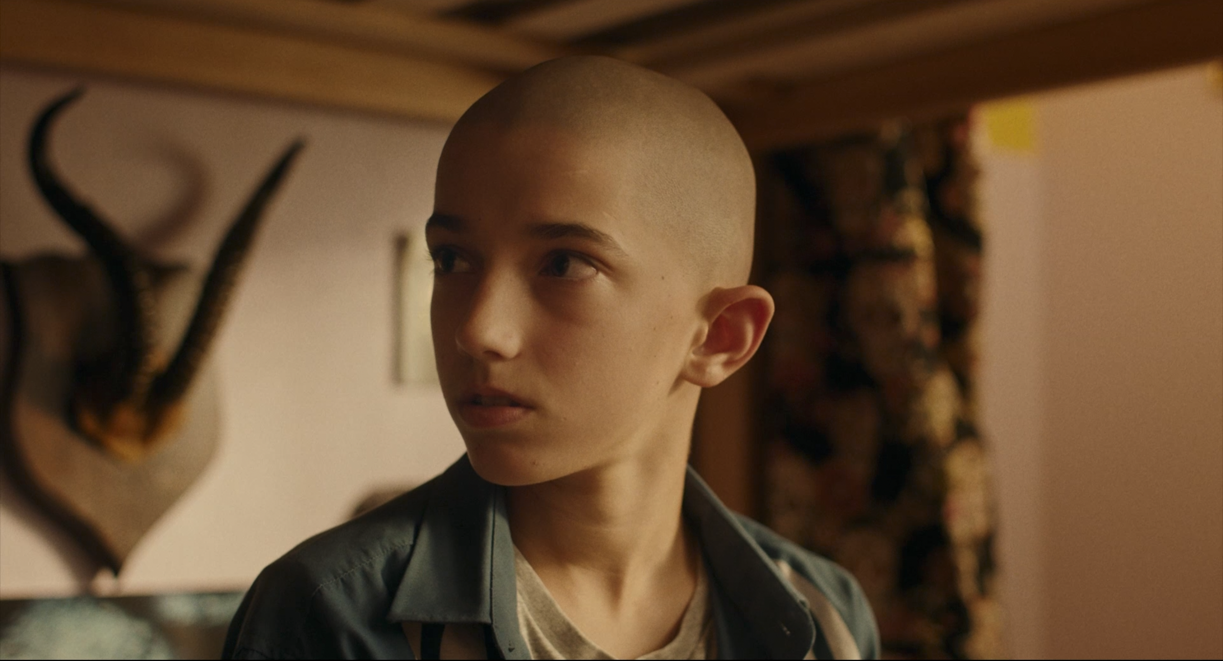 Capture d’écran 2024-03-15 à 01.02.24.png