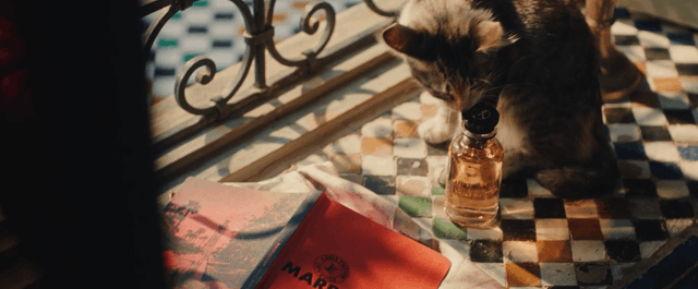 Louis Vuitton • Laure Atanasyan