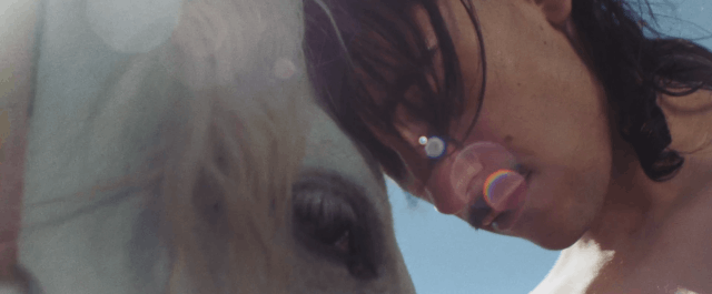 Dua Dua • Matias Vara