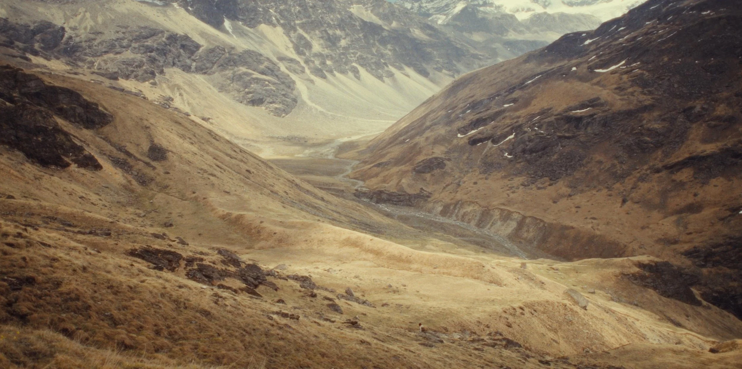 WhatsApp Image 2026-01-26 at 11.07.15 (5).jpeg