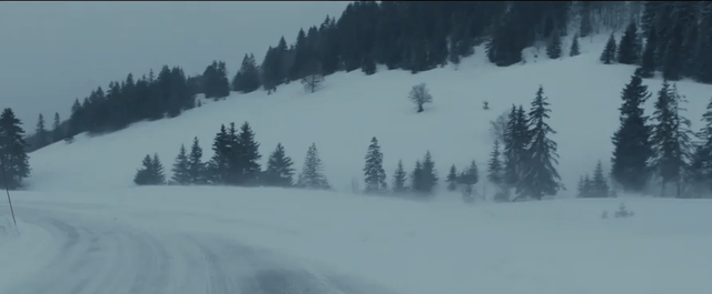 Neige | Laurent Tuel