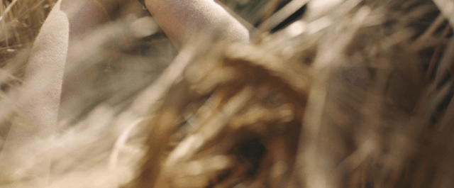 Jaeger Lecoultre - Maison Vignaux