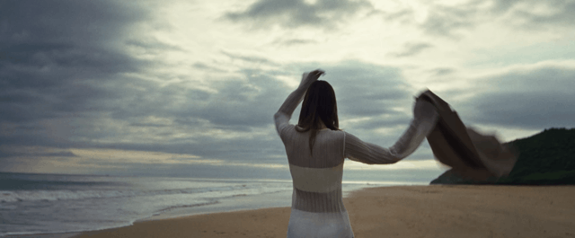 Aurelia | Alexandre Brisa