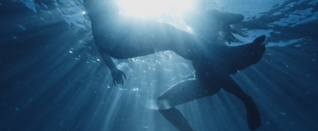 Entre deux Eaux • Alice Rebourg