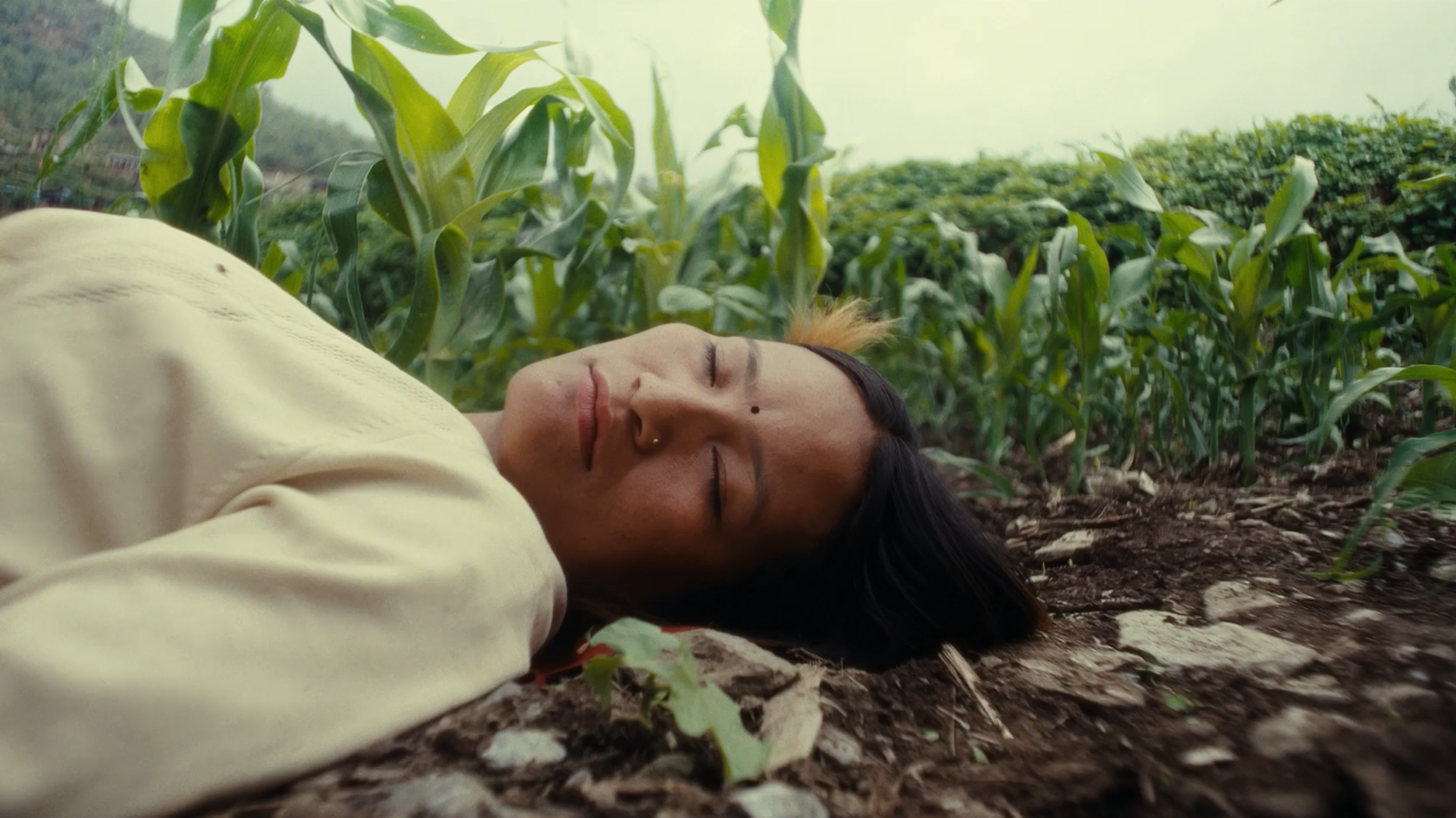 Capture d’écran 2026-02-17 à 16.37.47.png