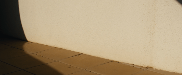 AW Project • AJ Duan