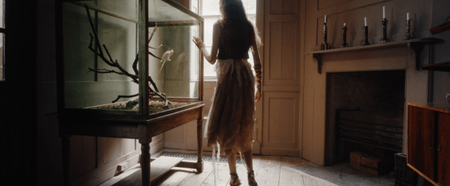 House of Unending • Star Han