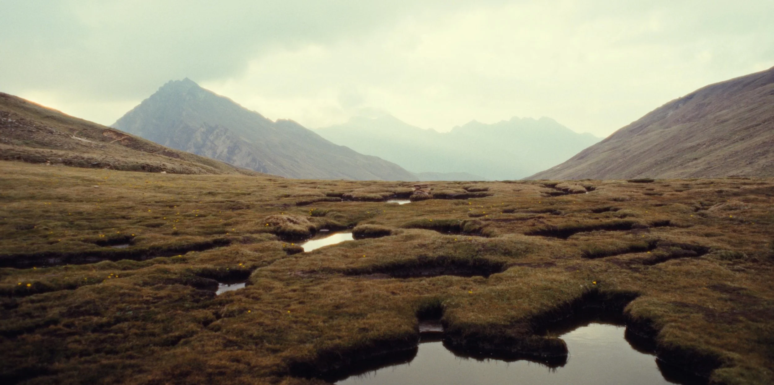 WhatsApp Image 2026-01-26 at 11.07.15 (2).jpeg