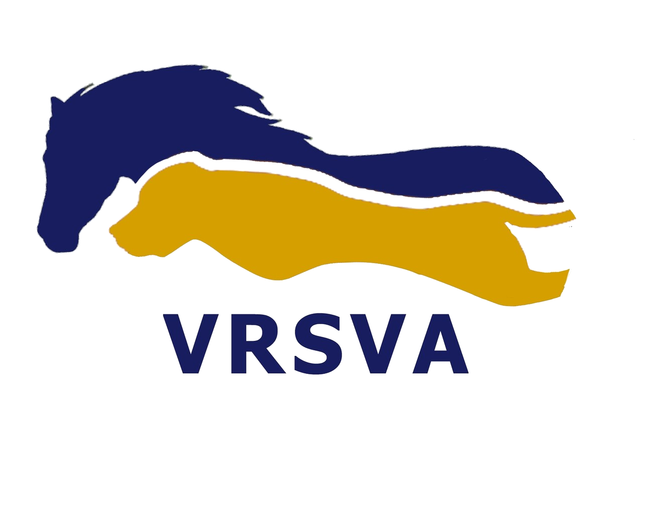 Veterinary Rehabilitation Services of Virginia