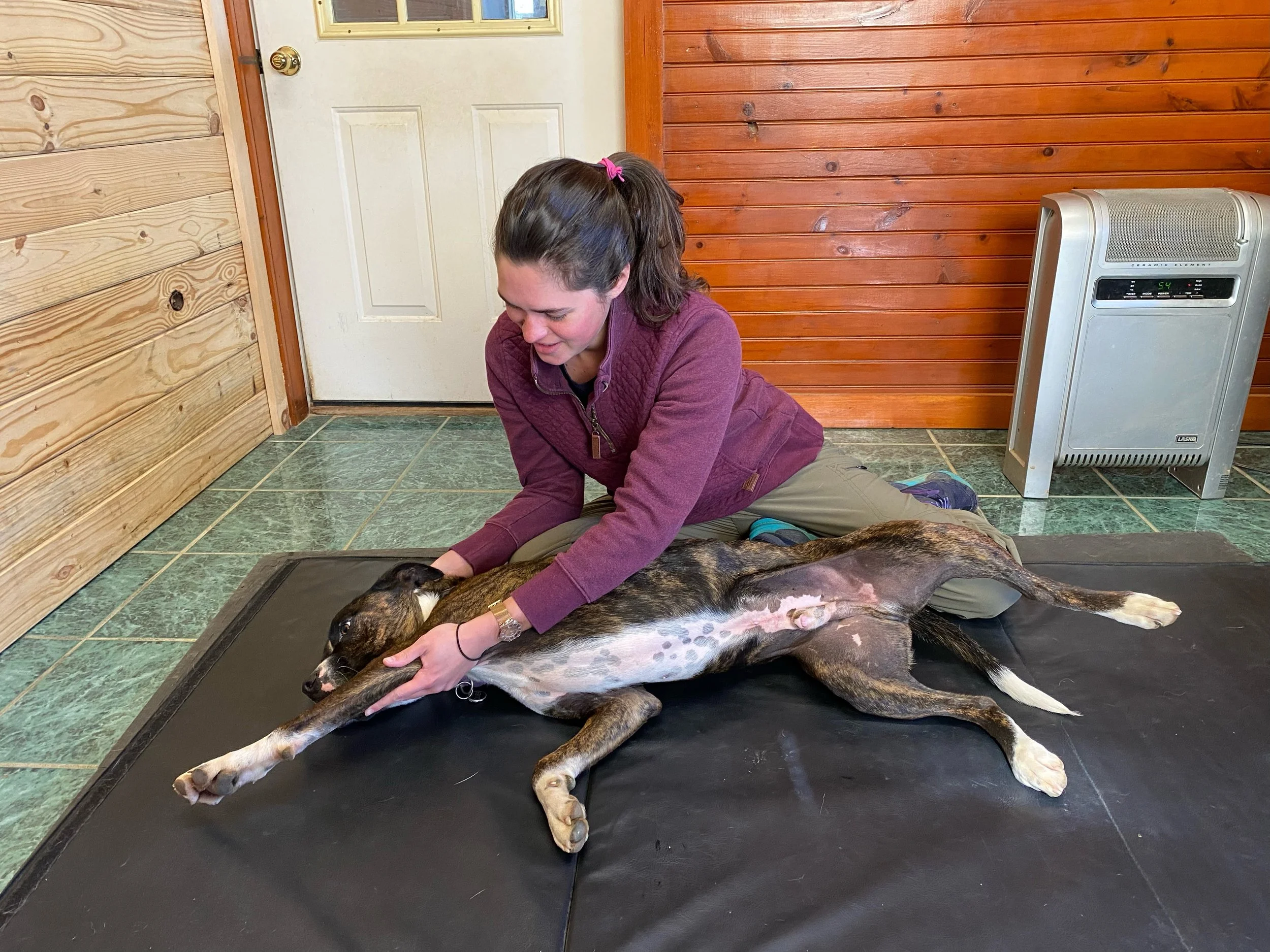 The Importance of Stretching