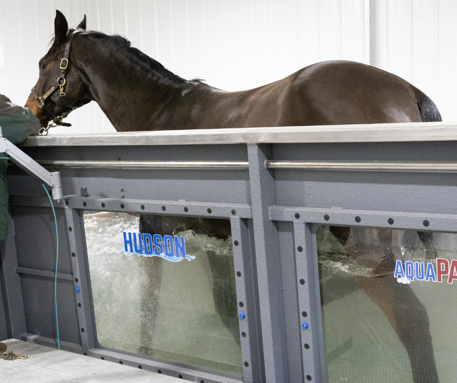 The Underwater Treadmill for Back Pain