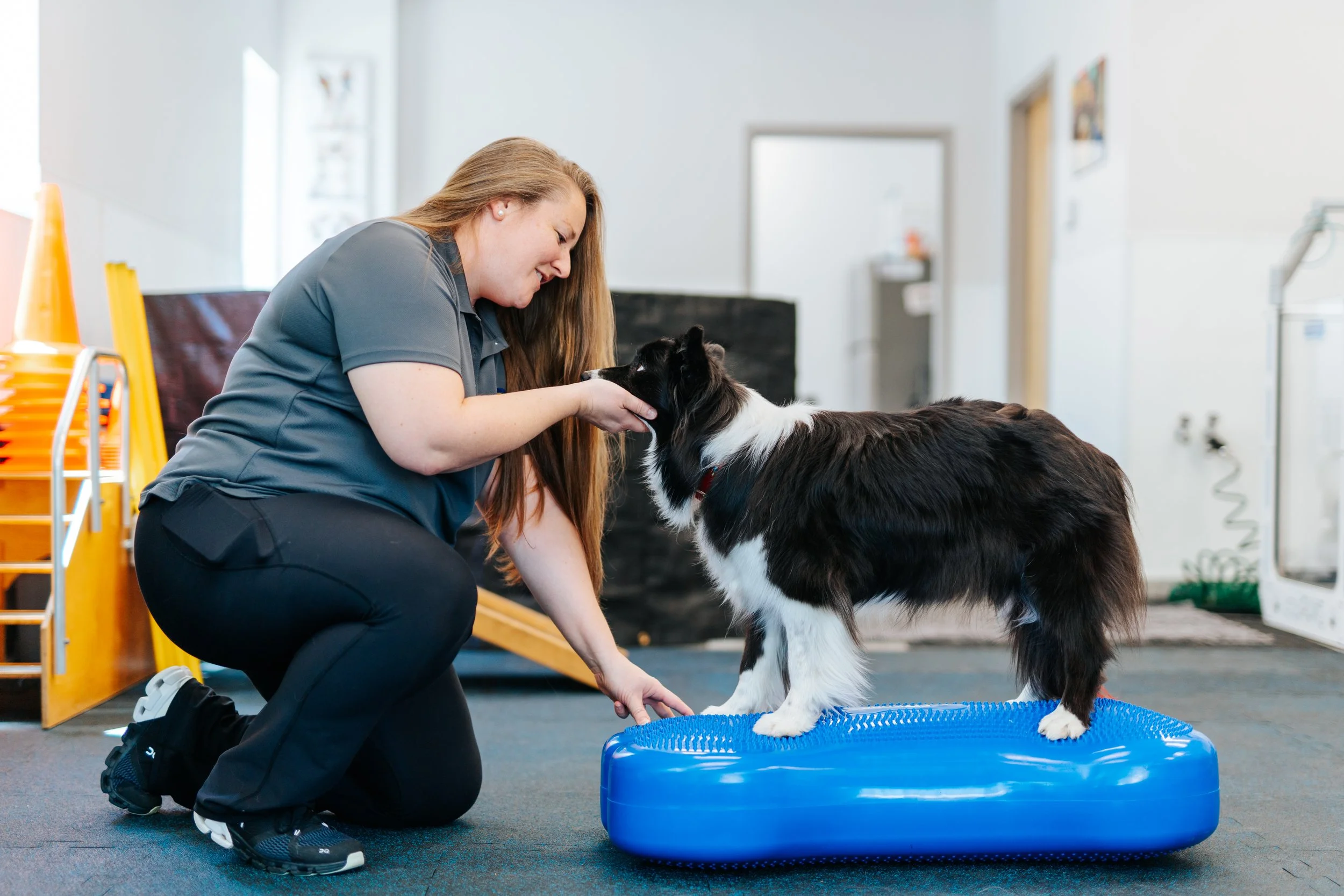 Rehabilitation After TPLO 