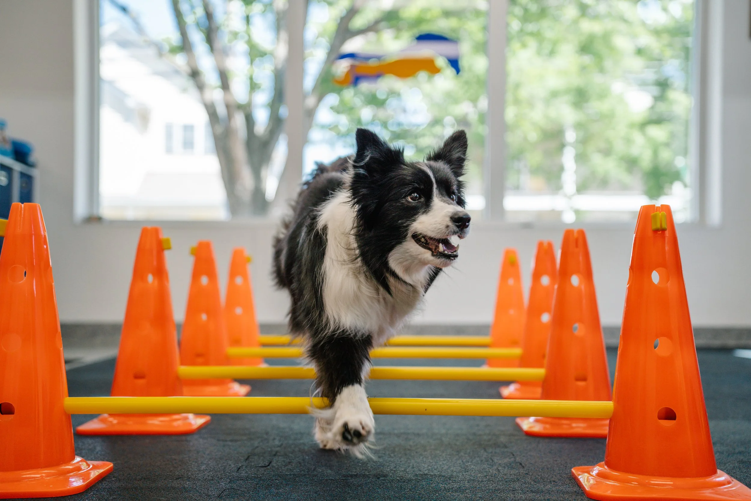 5 Stages of Successful Rehabilitation Therapy