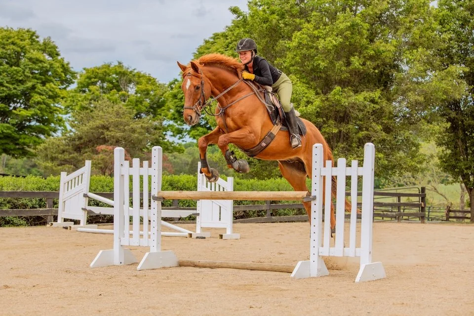 Jumper Show