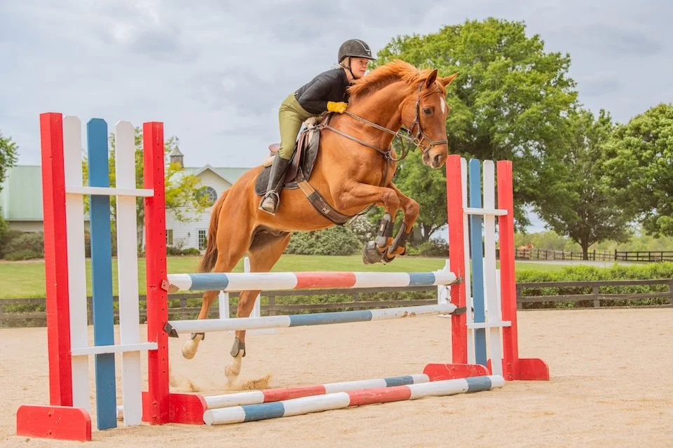 Evening Jumper Show