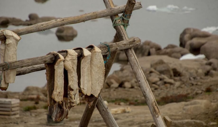 Stockfish Is Unsalted Fish Especially Cod Dried By Cold Air Stock