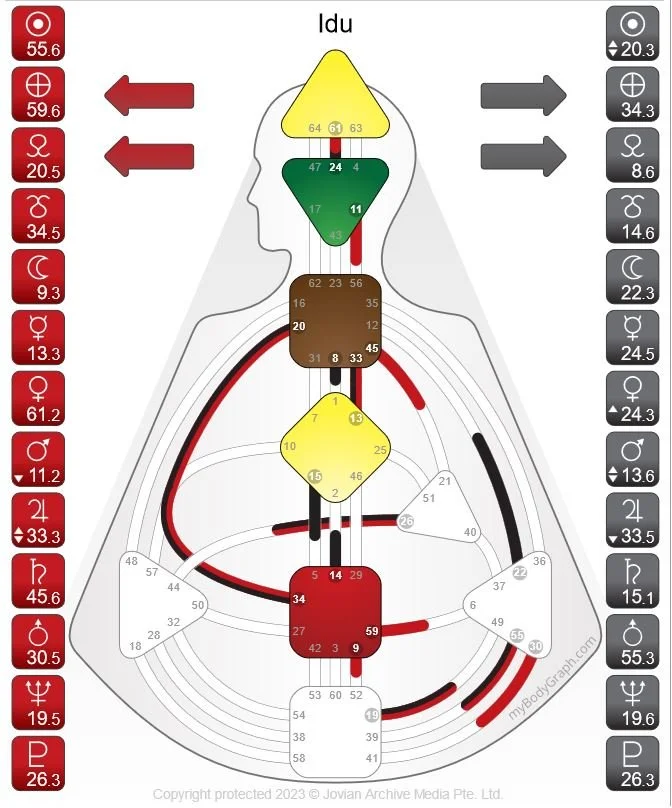 image of a Human Design BodyGraph