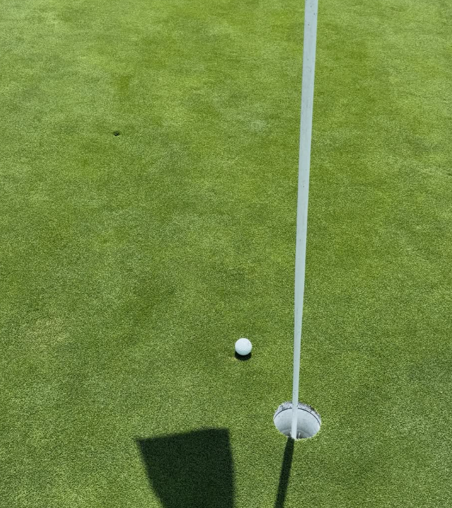 image (9).png