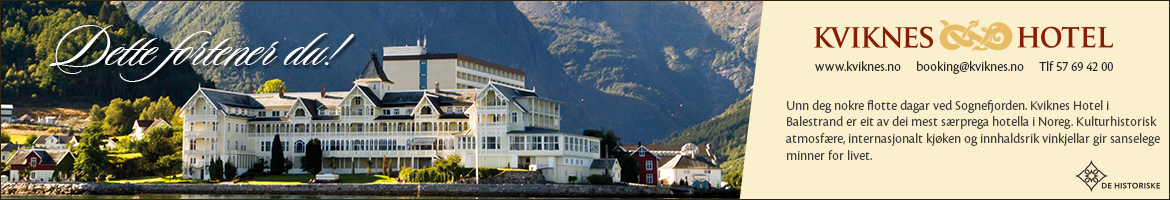 Bannerannonse Dagbladet 2014