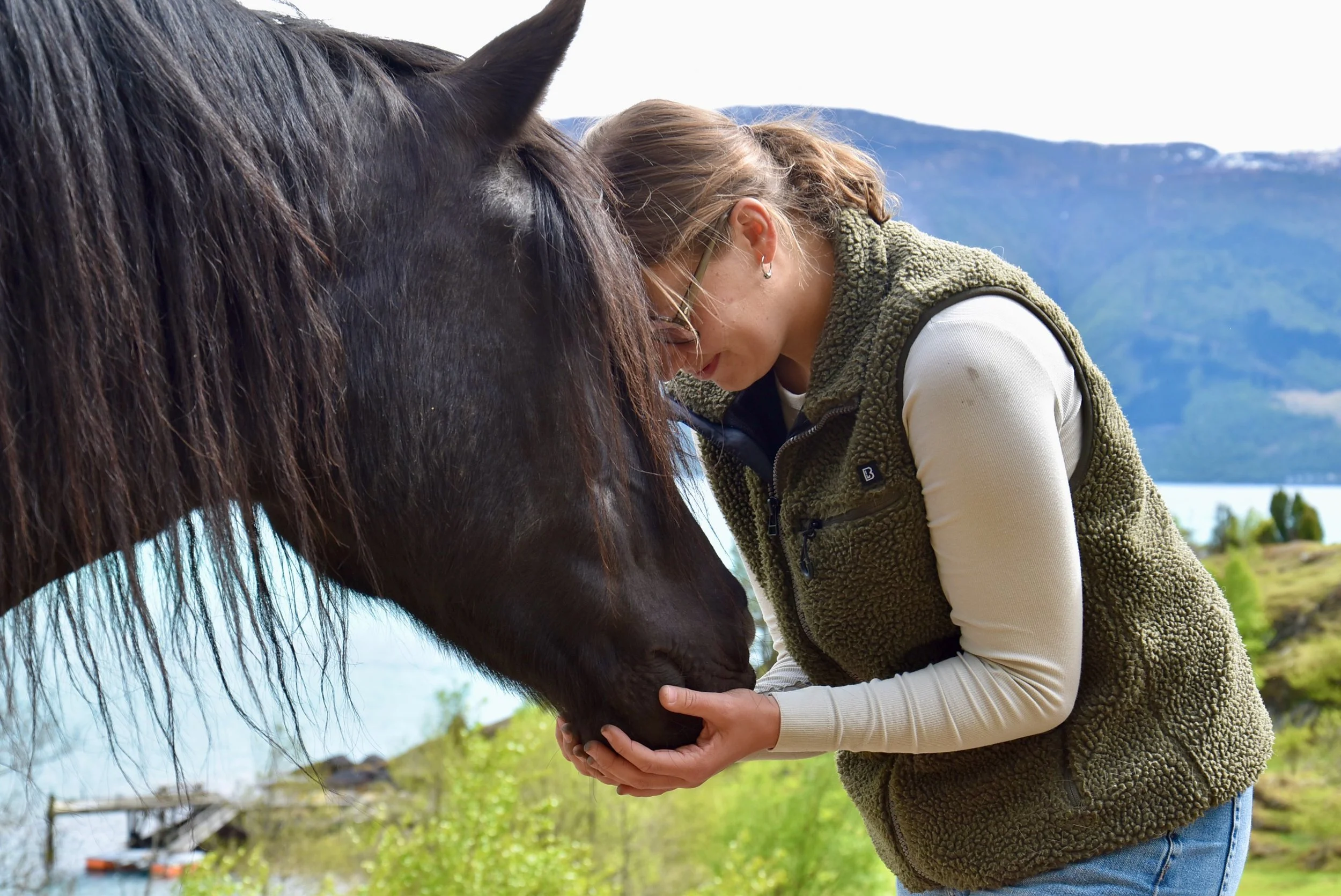 Horse.jpeg