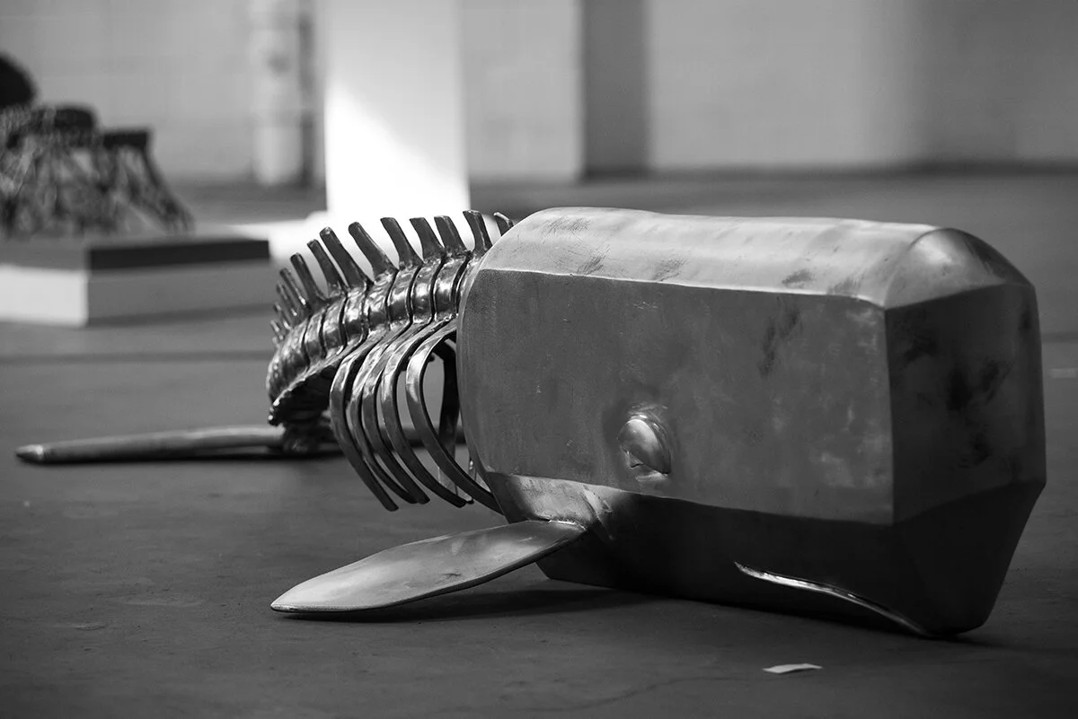 Whale BW for web.jpg