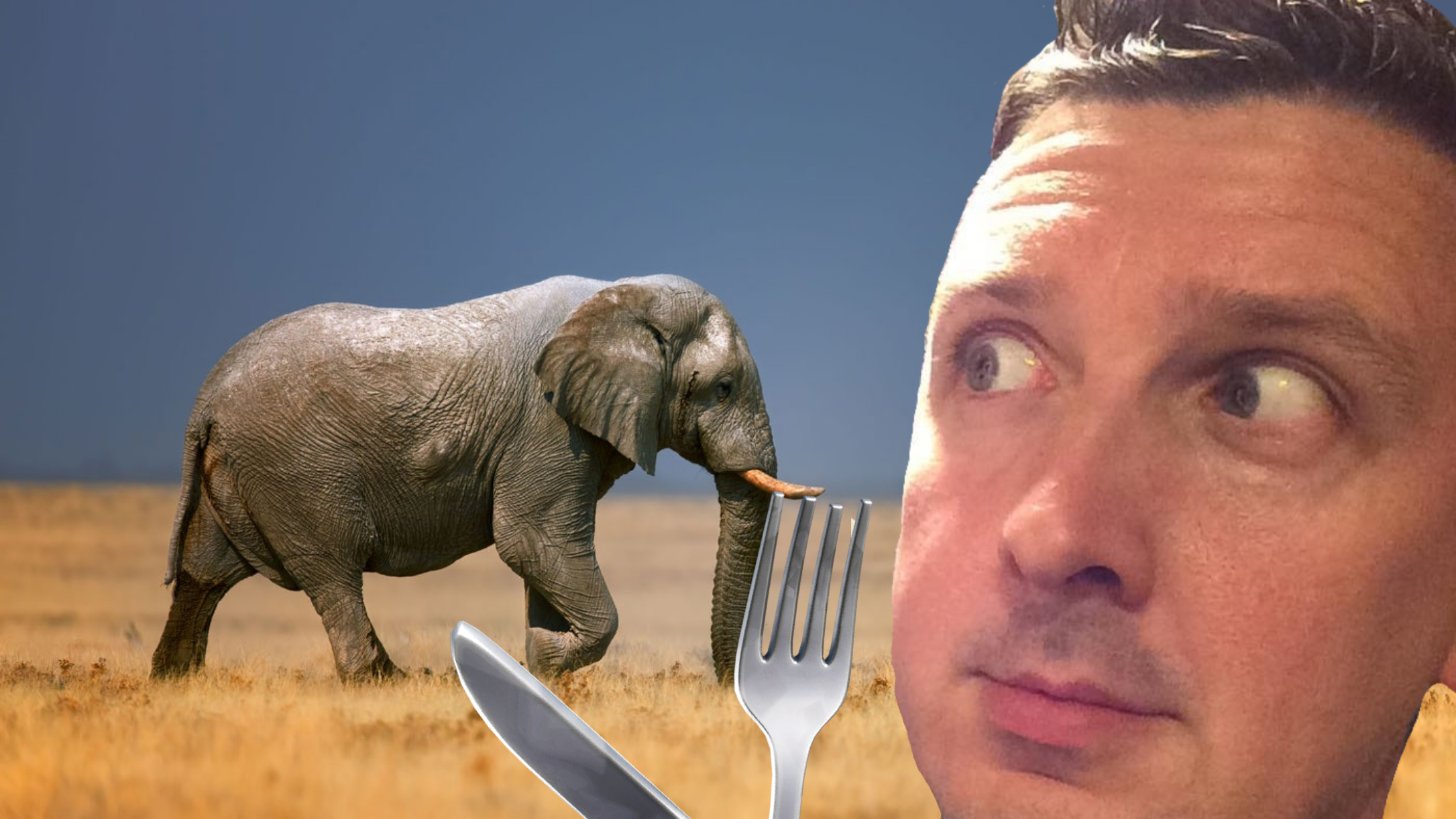 How Do You Eat An Elephant?