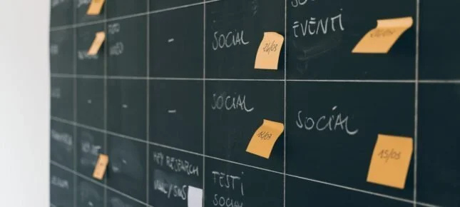 Kvalitetssikringens forbannelse