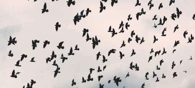 Ut med Politikken. Læringen. Kunsten. Pengene. Del 2 av 3