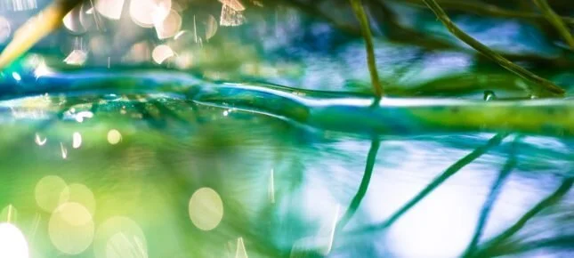 Du påvirker mer enn du tror