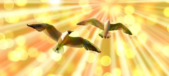 Å handle uten å beskytte seg selv