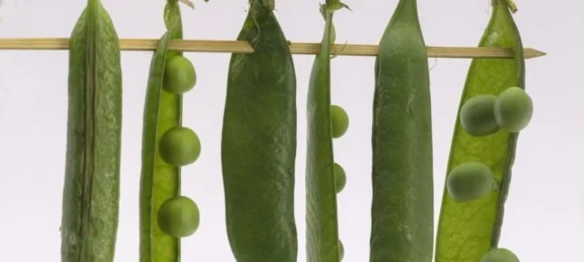 Spis mat. Mest grønt. Ikke for mye.