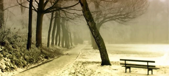 Hva gjør du når du ikke kan gjøre noe som helst?