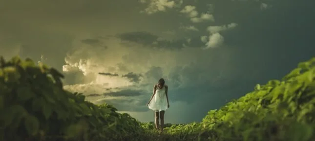 Hvor kommer ditt natursyn fra?