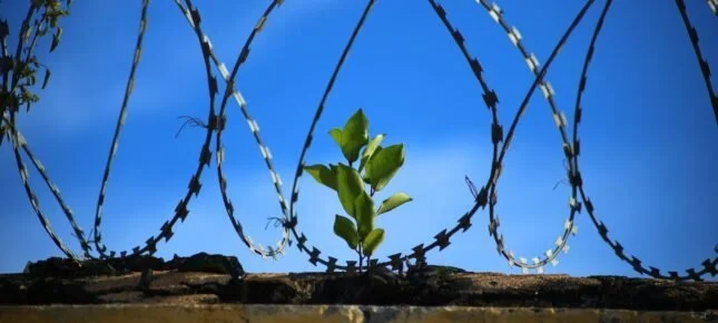 Fengselsdialog – der alle lærer og ingen underviser