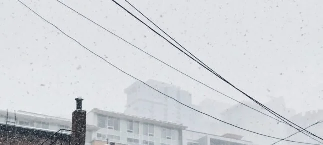 Flux 3. adventsdikt av Bertrand Besigye