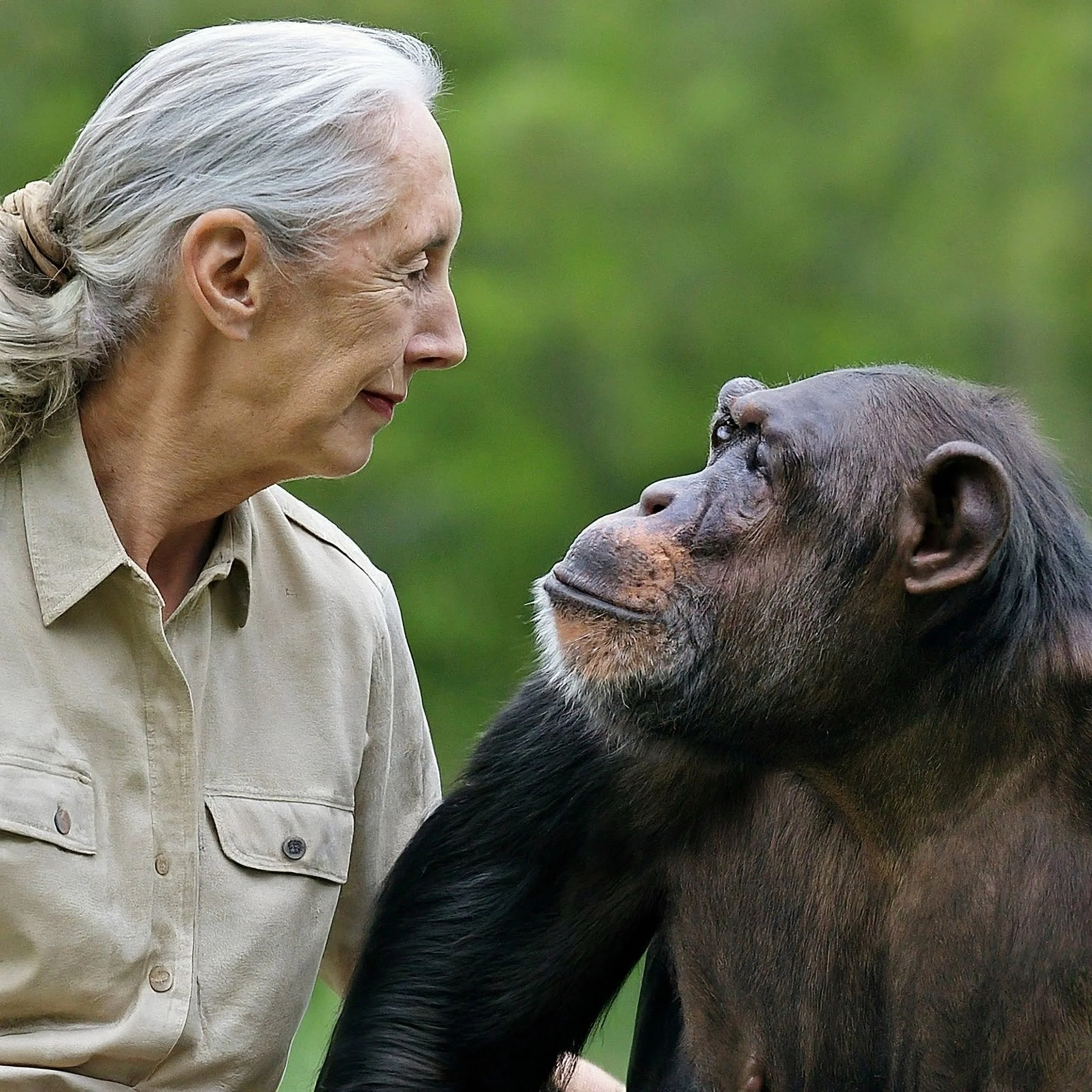 Verdige dyr - verdige mennesker?