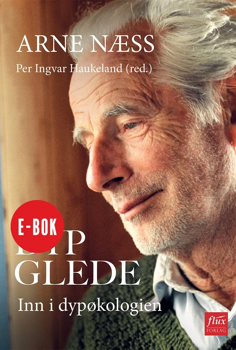 Dyp-glede-ebok.jpg