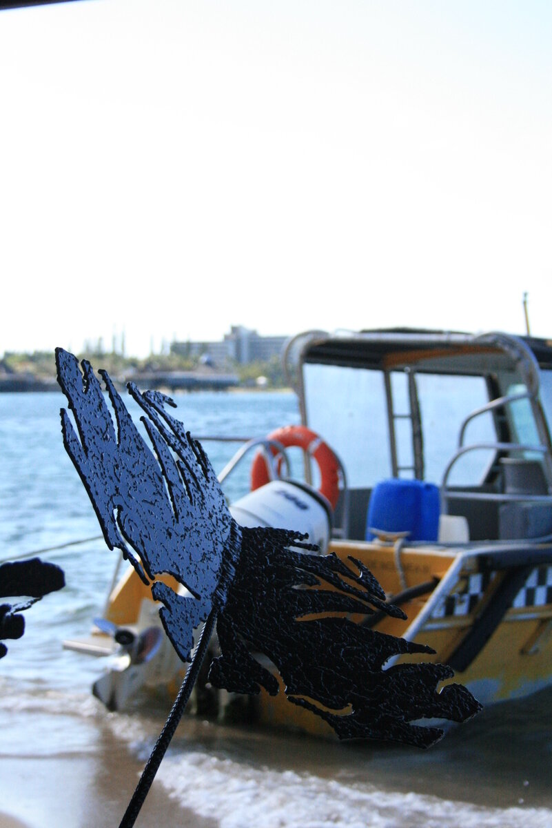 L'envol des esprits / When Spirits soar