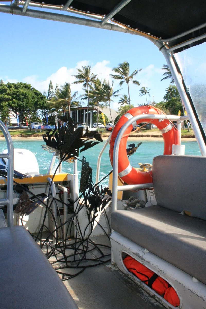 L'envol des esprits / When Spirits soar