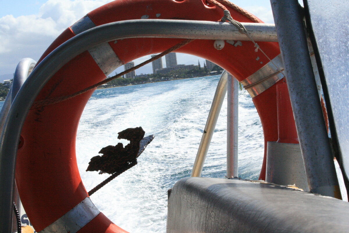 L'envol des esprits / When Spirits soar