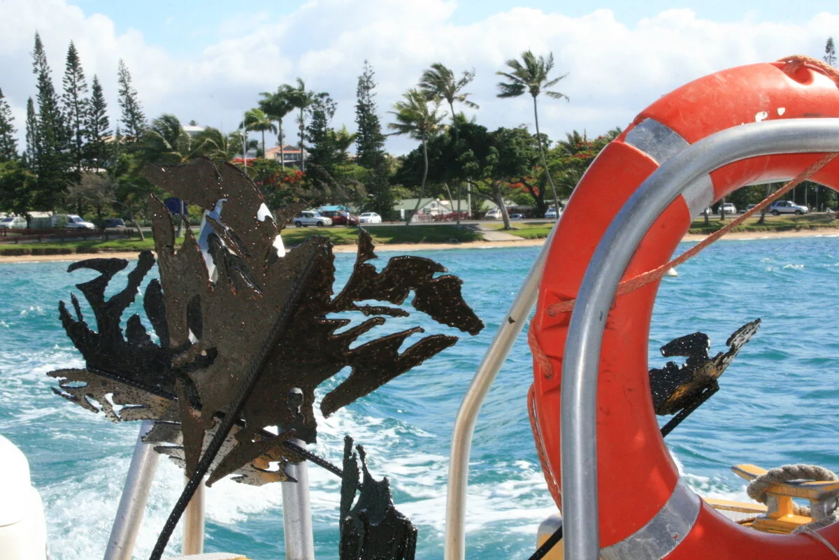 L'envol des esprits / When Spirits soar