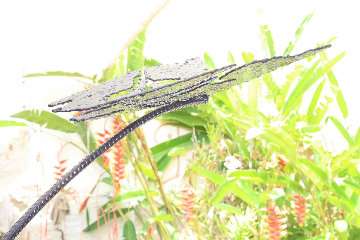 L'envol des esprits / When Spirits soar