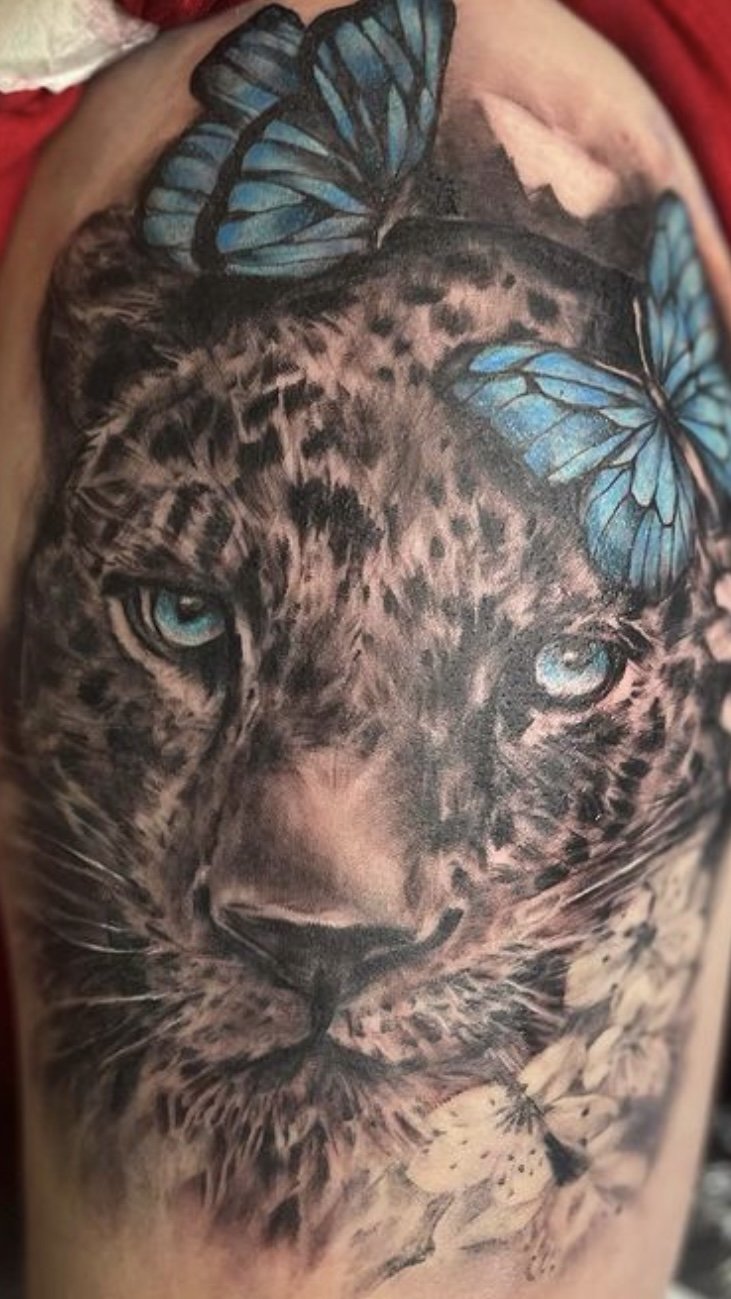 Jessica Jinx — Tiger Shark Tattoo