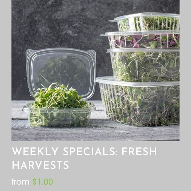 🚨 THE MOST EXCLUSIVE GREENS IN TOWN 🚨 Weekly specials are updated for produce that is here today, gone tomorrow