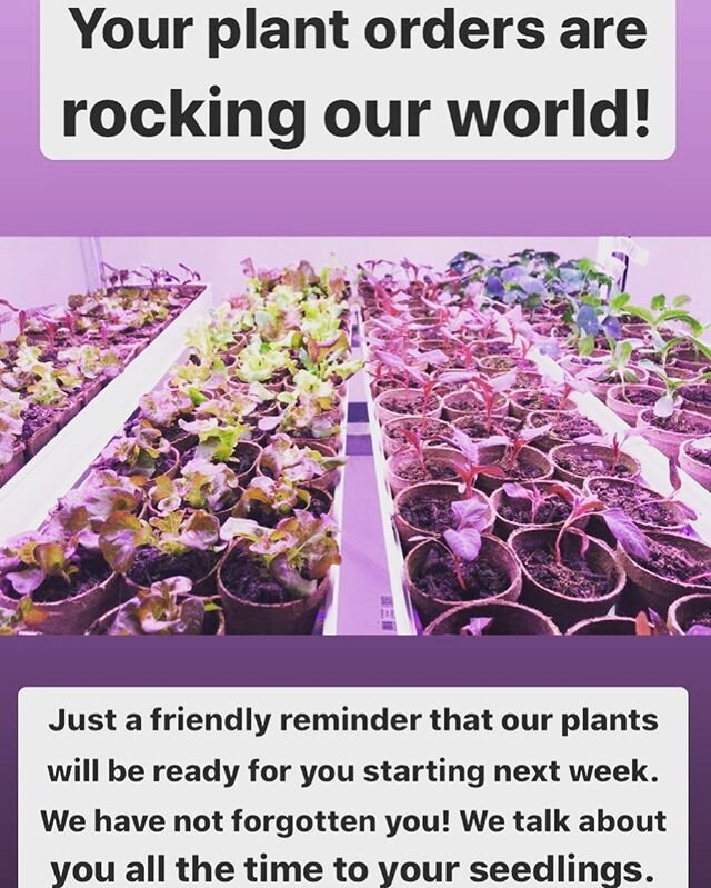 These plants are eager to get to you! We will be reviewing all of our plant sale orders and begin distributing some earlier than expected! All plants will begin rolling out by April 29th. Get your garden ready! 👩🏻&zwj;🌾