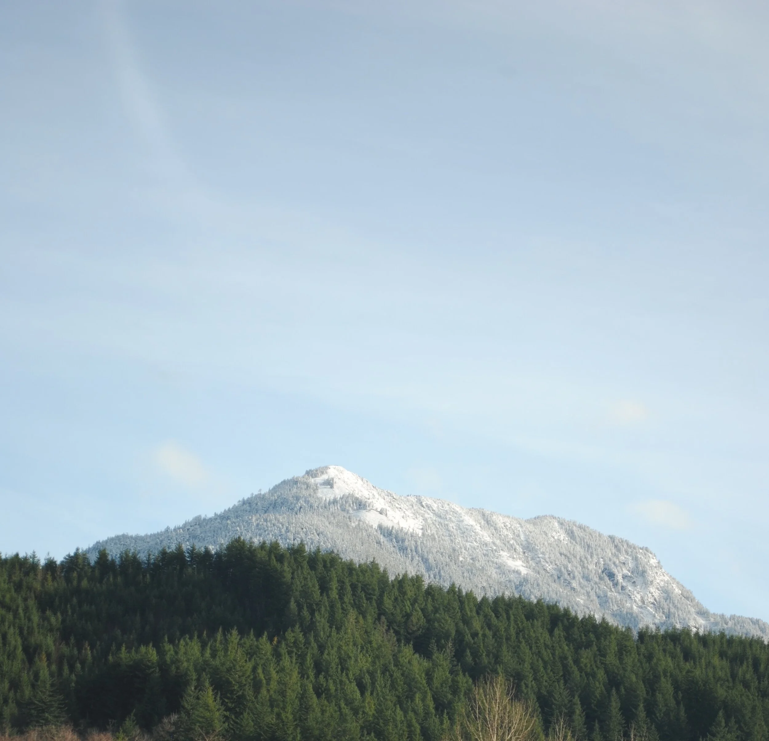 DSC_1036.jpg