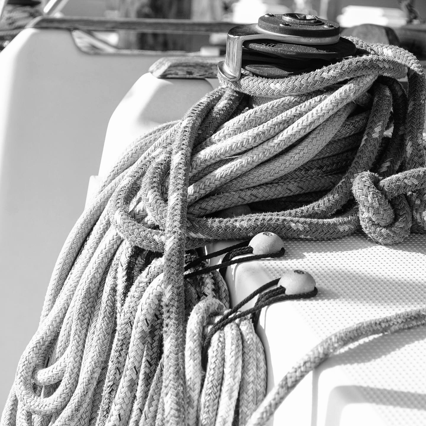 4613BBF1-C943-459D-AC84-5B7849093E46_1_201_a.jpeg