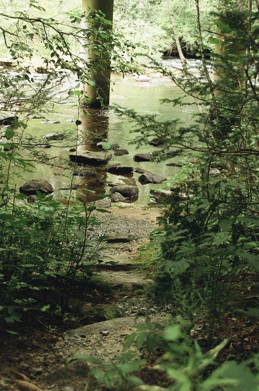 30D0B164-0338-4789-9BF2-16E807948A0F_1_201_a.jpeg